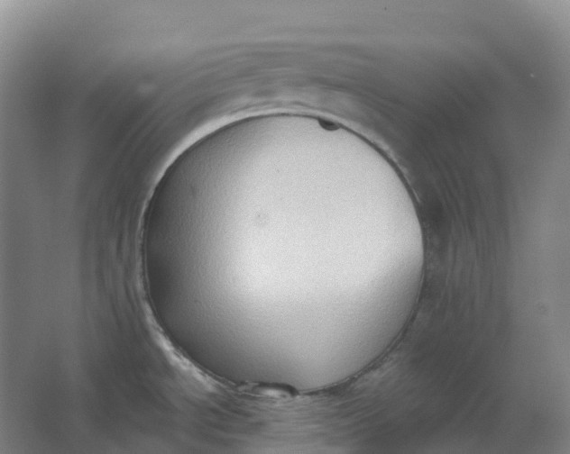 X0000062891534200601271634