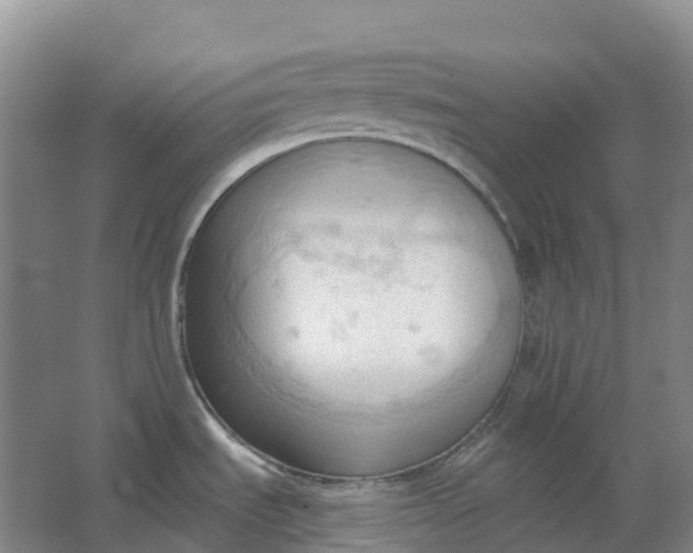 X0000062891535200601271634