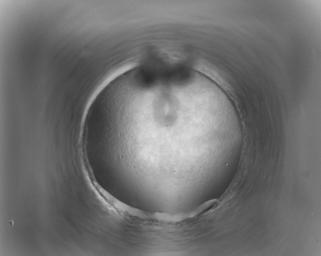 X0000062891536200601271635