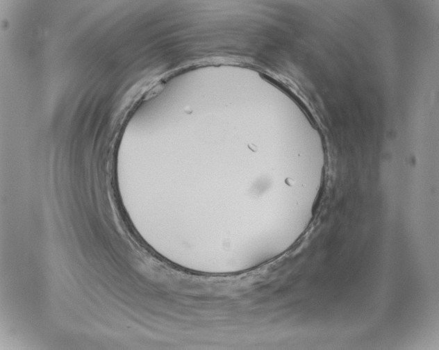 X0000062890001200602031819