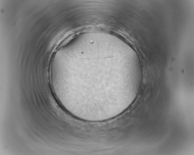 X0000062890002200602031819