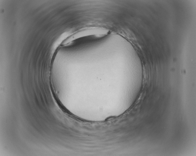 X0000062890003200602031819