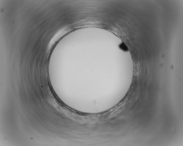 X0000062890004200602031819