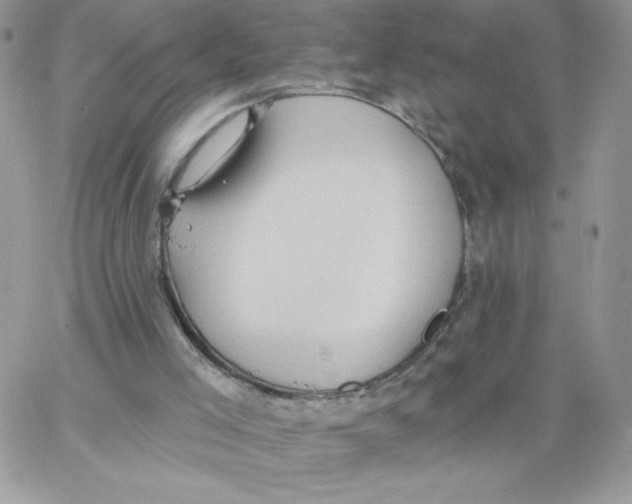 X0000062890005200602031818