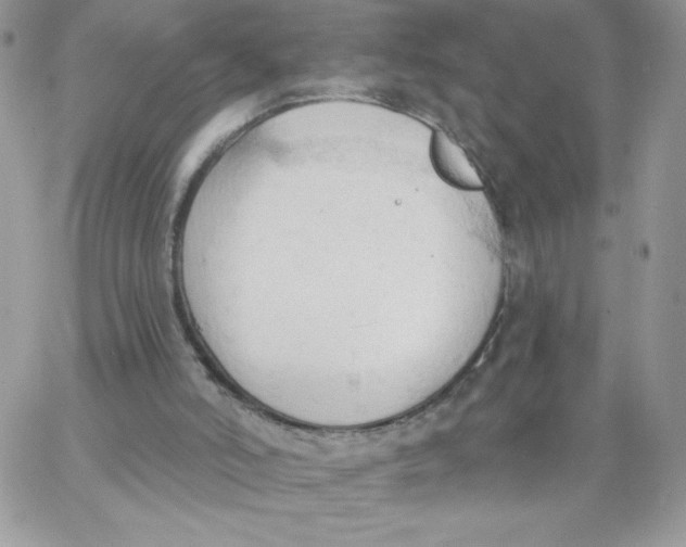 X0000062890006200602031818