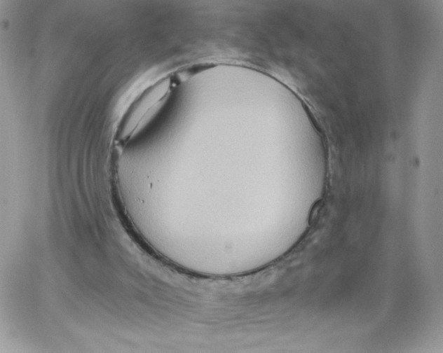 X0000062890007200602031818