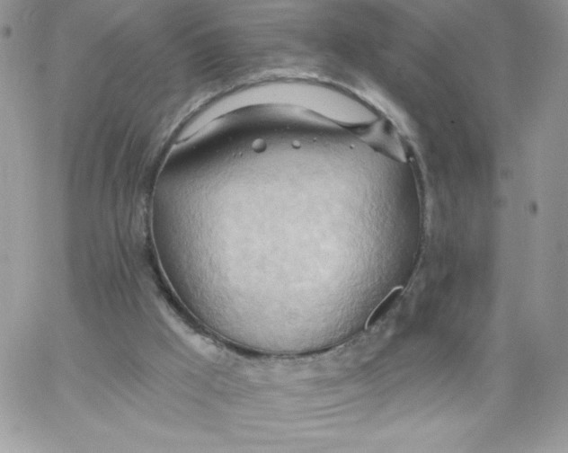 X0000062890009200602031818