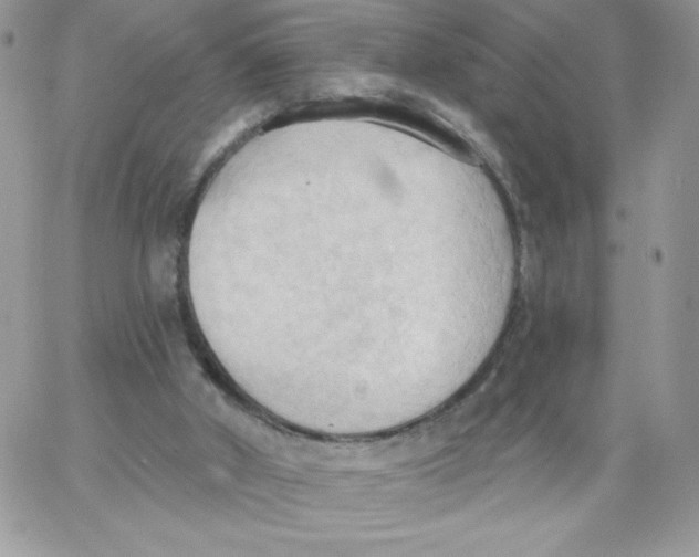 X0000062890010200602031818