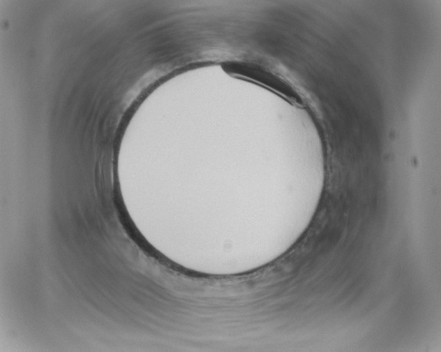 X0000062890011200602031818