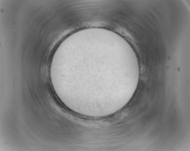 X0000062890012200602031818