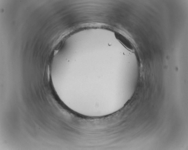 X0000062890013200602031818