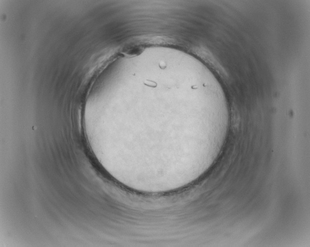 X0000062890014200602031818