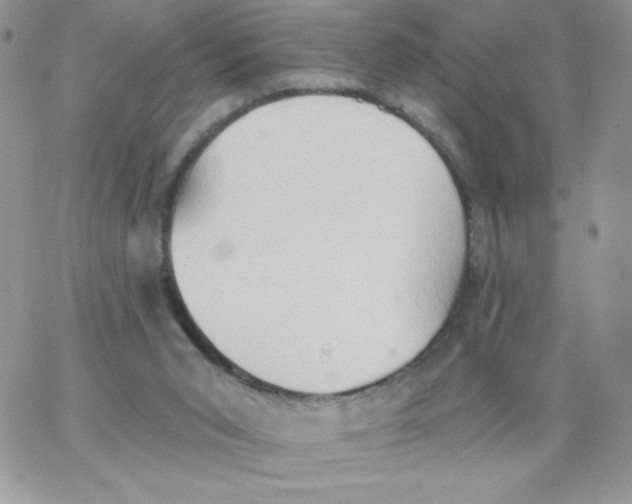 X0000062890015200602031818