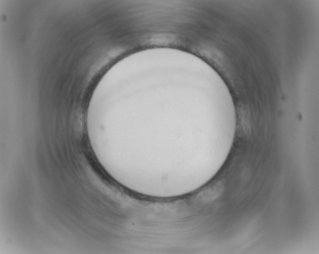 X0000062890016200602031818