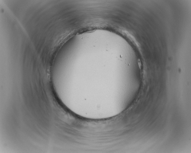 X0000062890017200602031818