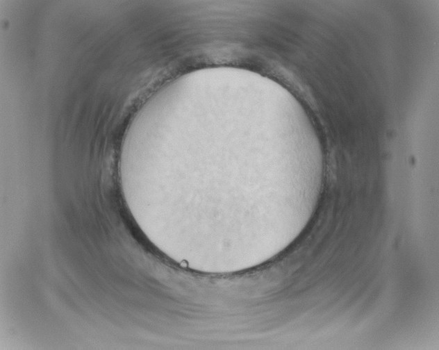 X0000062890018200602031818