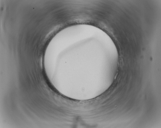 X0000062890019200602031818