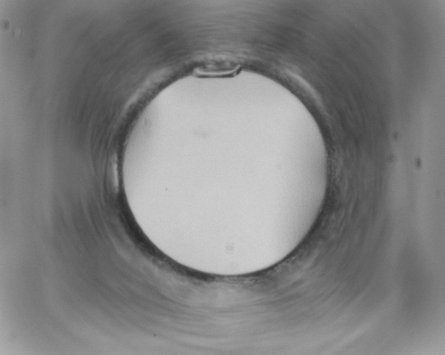 X0000062890020200602031818