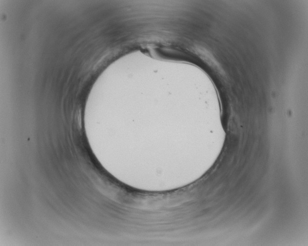 X0000062890021200602031818