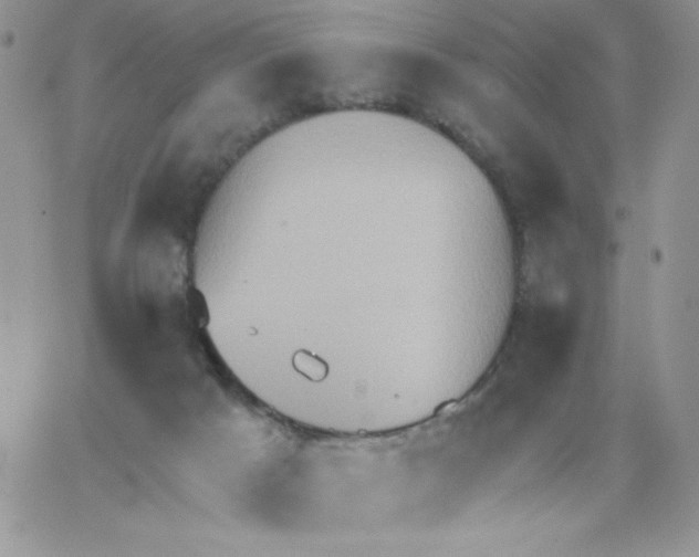 X0000062890025200602031818