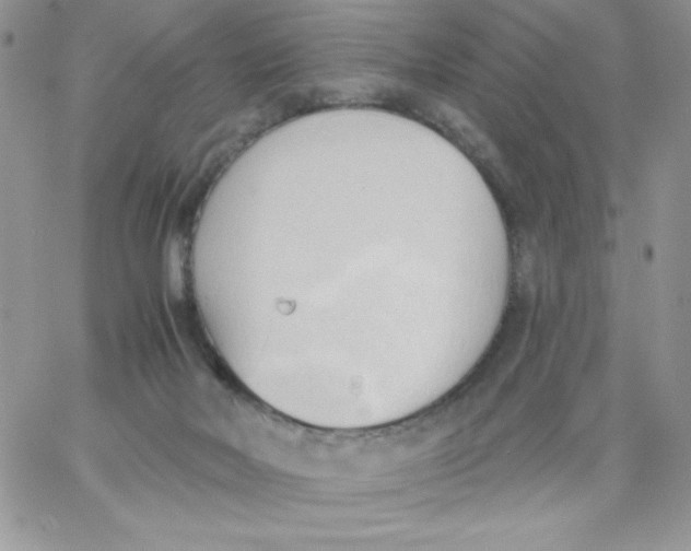 X0000062890026200602031818