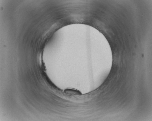 X0000062890027200602031818