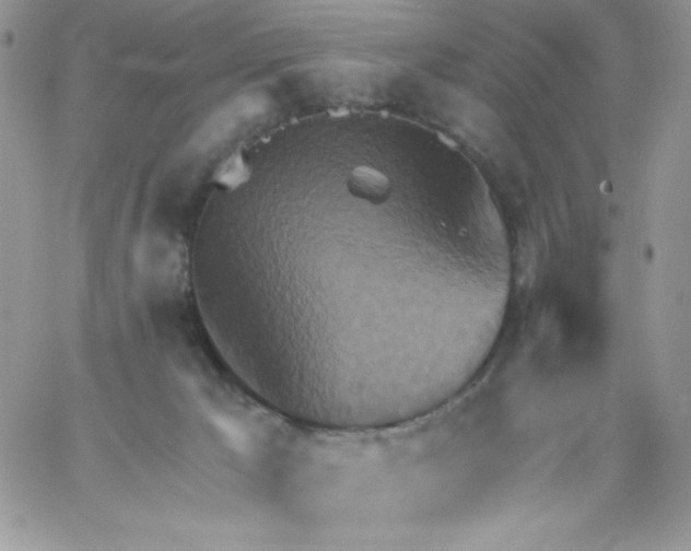 X0000062890029200602031818