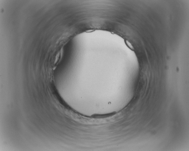 X0000062890031200602031818