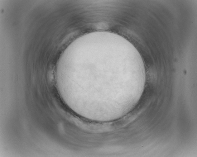 X0000062890032200602031818