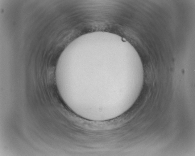 X0000062890034200602031818