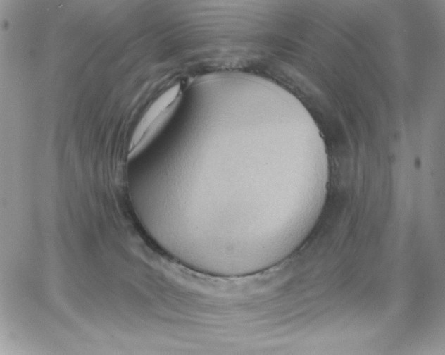 X0000062890035200602031818