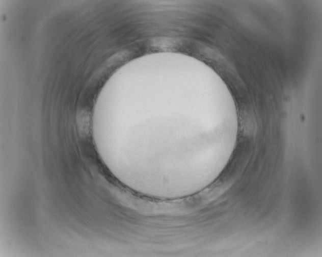 X0000062890036200602031818