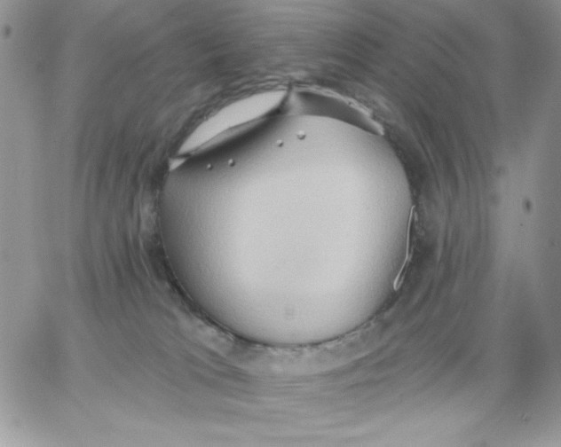 X0000062890037200602031818