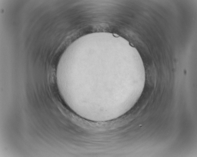 X0000062890038200602031818