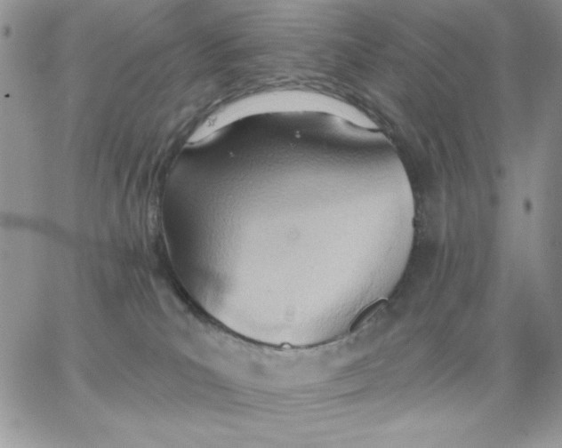 X0000062890039200602031818