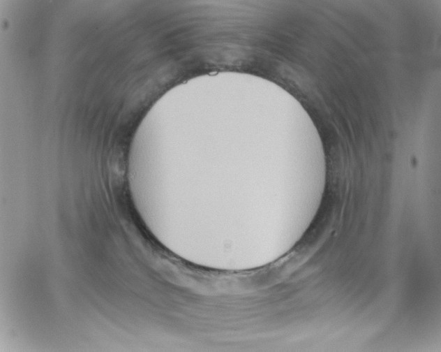 X0000062890040200602031818