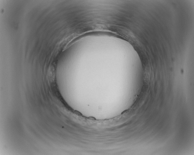 X0000062890043200602031818