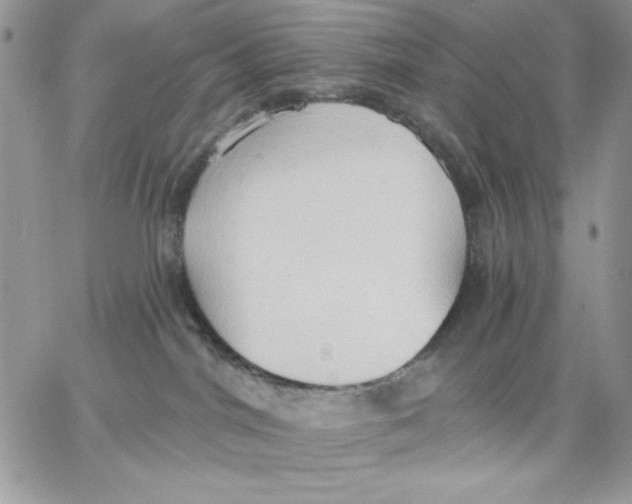 X0000062890044200602031818