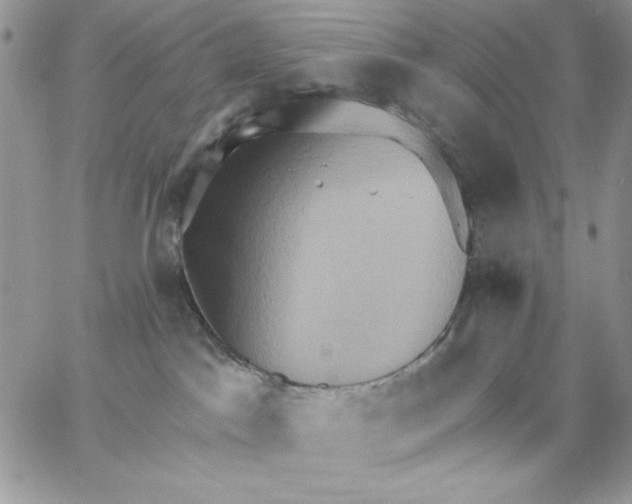 X0000062890045200602031818