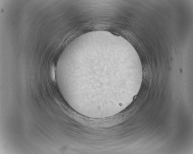 X0000062890046200602031818