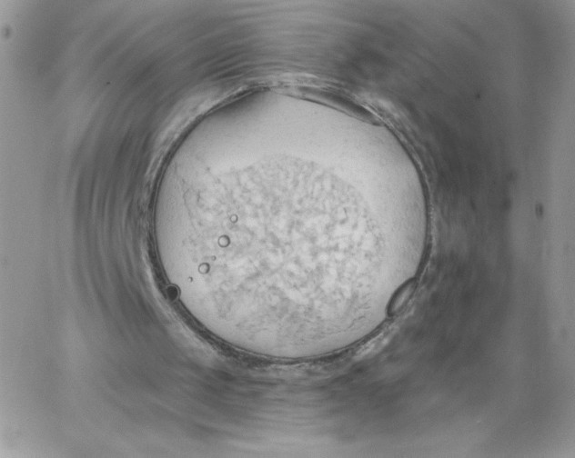 X0000062890049200602031817