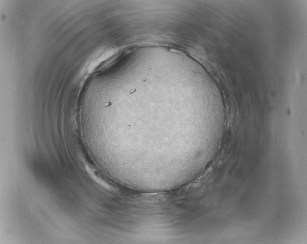 X0000062890050200602031817