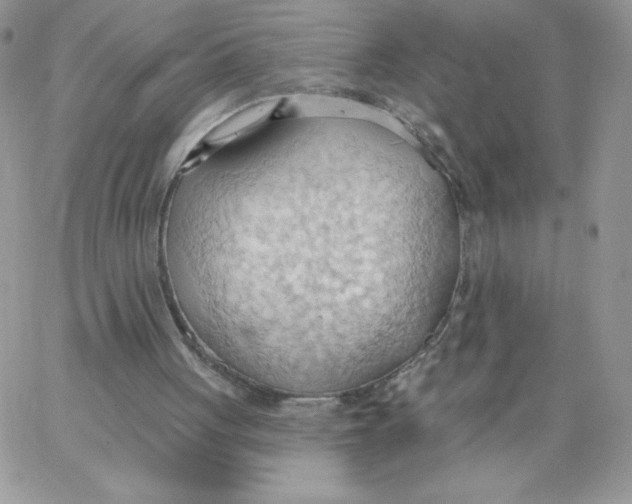 X0000062890051200602031817