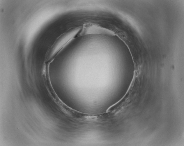 X0000062890052200602031817