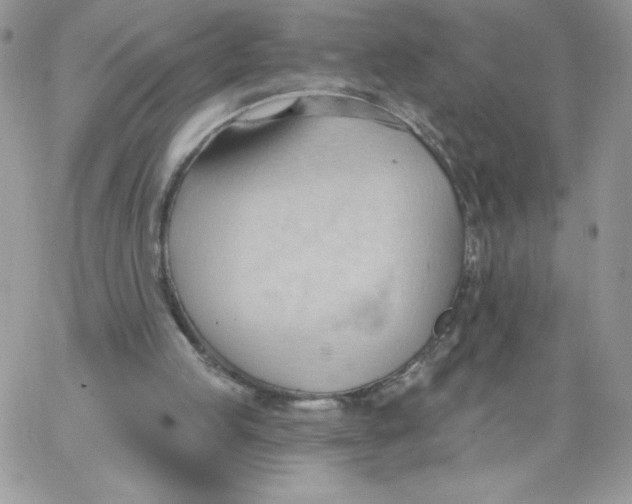 X0000062890053200602031817