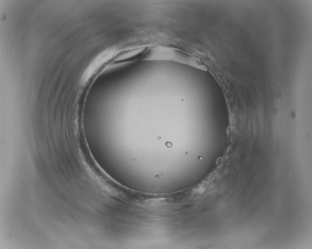 X0000062890054200602031817