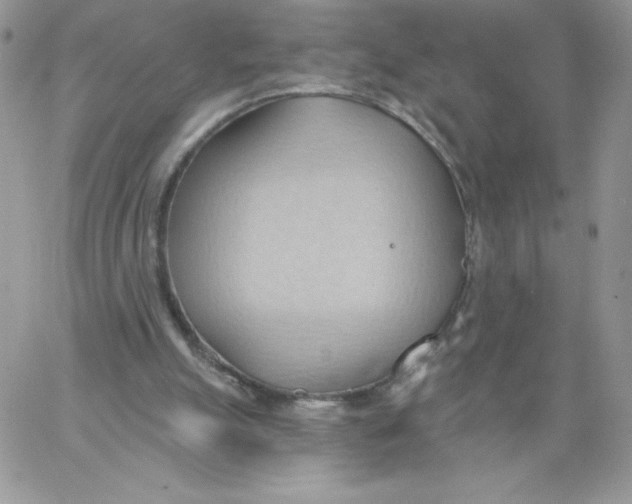 X0000062890055200602031817