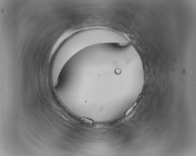 X0000062890056200602031817