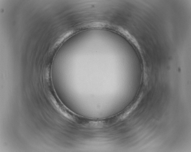 X0000062890057200602031817