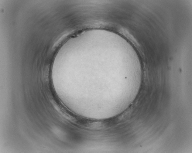 X0000062890058200602031817